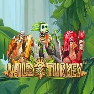 Wild Turkey Spielautomat
